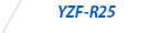 YZF-R25